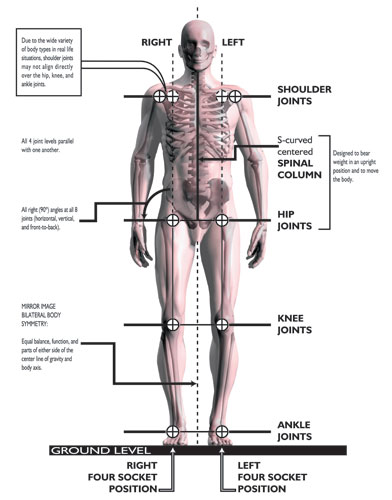 Posture Therapy