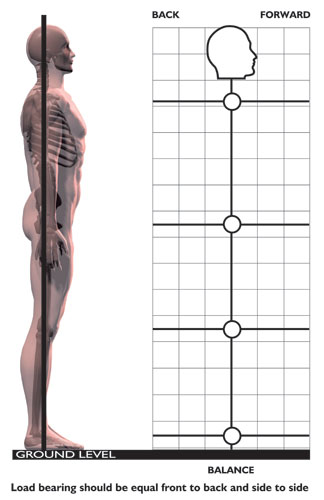 Posture Therapy