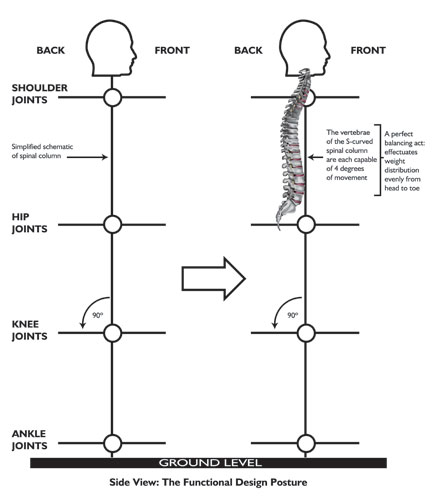 Posture Therapy